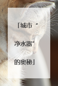 城市“净水器”的奥秘