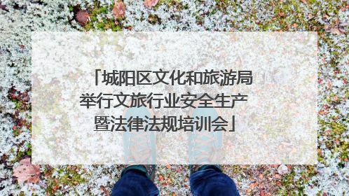 城阳区文化和旅游局举行文旅行业安全生产暨法律法规培训会