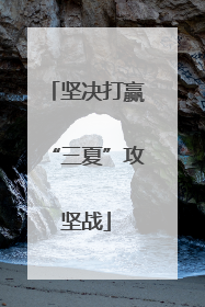 坚决打赢“三夏”攻坚战