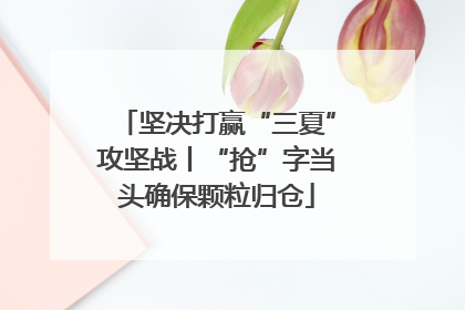 坚决打赢“三夏”攻坚战丨“抢”字当头确保颗粒归仓