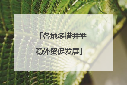 各地多措并举稳外贸促发展