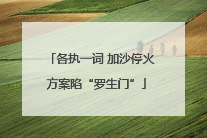 各执一词 加沙停火方案陷“罗生门”