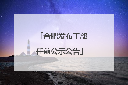 合肥发布干部任前公示公告