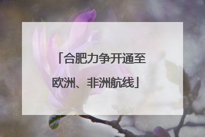 合肥力争开通至欧洲、非洲航线