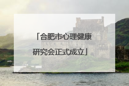合肥市心理健康研究会正式成立