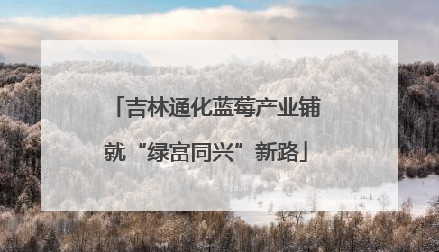 吉林通化蓝莓产业铺就“绿富同兴”新路