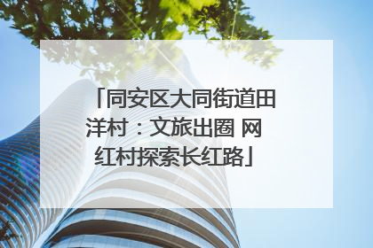 同安区大同街道田洋村：文旅出圈 网红村探索长红路
