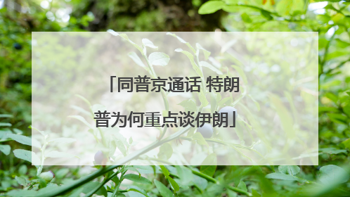同普京通话 特朗普为何重点谈伊朗