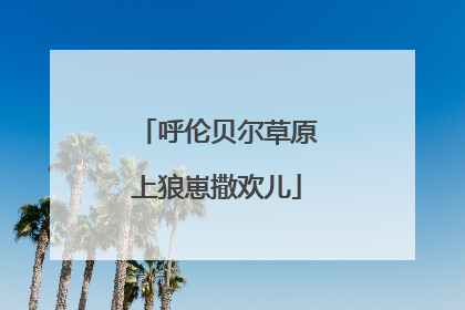 呼伦贝尔草原上狼崽撒欢儿