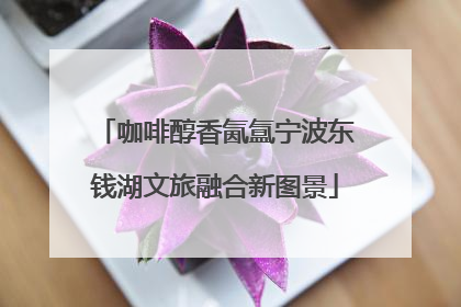 咖啡醇香氤氲宁波东钱湖文旅融合新图景