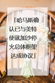 哈马斯确认已与美特使就加沙停火总体框架达成协议