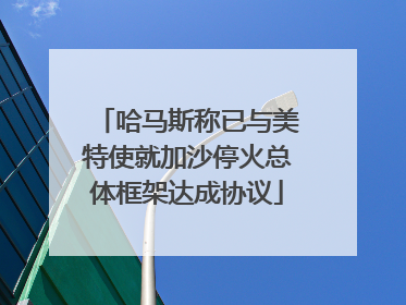 哈马斯称已与美特使就加沙停火总体框架达成协议