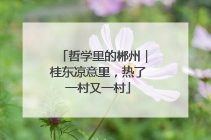 哲学里的郴州｜桂东凉意里，热了一村又一村
