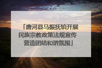 唐河县马振抚镇开展民族宗教政策法规宣传 营造团结和谐氛围