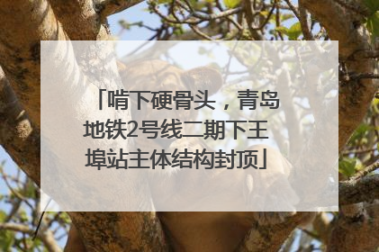 啃下硬骨头，青岛地铁2号线二期下王埠站主体结构封顶