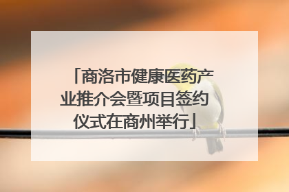 商洛市健康医药产业推介会暨项目签约仪式在商州举行