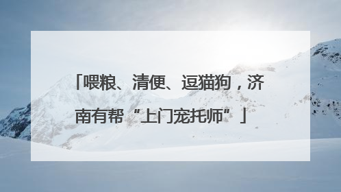 喂粮、清便、逗猫狗，济南有帮“上门宠托师”