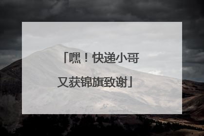 嘿！快递小哥又获锦旗致谢