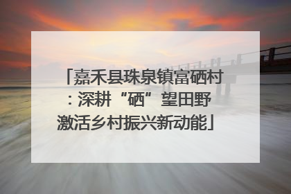 嘉禾县珠泉镇富硒村：深耕“硒”望田野 激活乡村振兴新动能