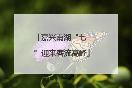 嘉兴南湖“七一”迎来客流高峰
