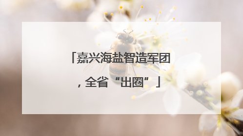 嘉兴海盐智造军团，全省“出圈”