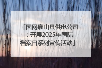 国网确山县供电公司：开展2025年国际档案日系列宣传活动