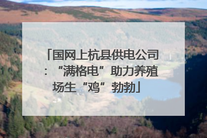 国网上杭县供电公司：“满格电”助力养殖场生“鸡”勃勃