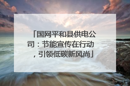 国网平和县供电公司：节能宣传在行动，引领低碳新风尚