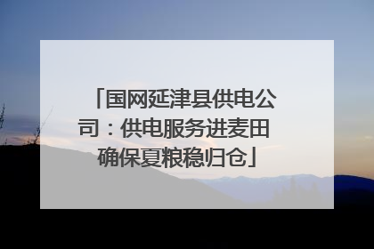 国网延津县供电公司：供电服务进麦田 确保夏粮稳归仓