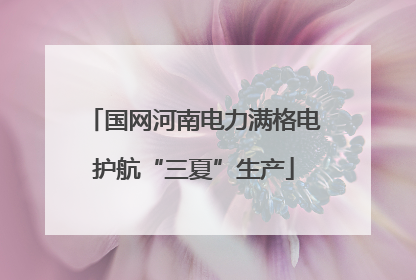 国网河南电力满格电护航“三夏”生产