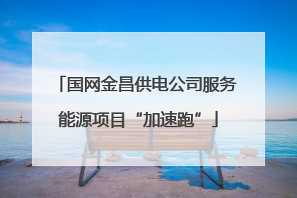 国网金昌供电公司服务能源项目“加速跑”