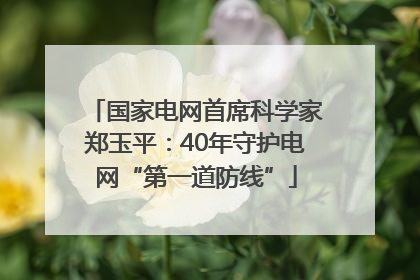 国家电网首席科学家郑玉平：40年守护电网“第一道防线”