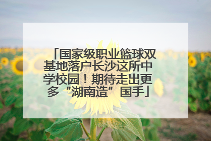 国家级职业篮球双基地落户长沙这所中学校园！期待走出更多“湖南造”国手