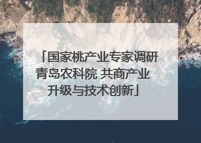 国家桃产业专家调研青岛农科院 共商产业升级与技术创新