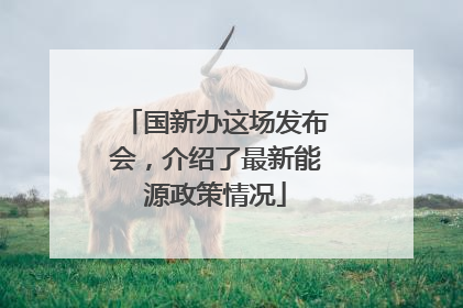 国新办这场发布会，介绍了最新能源政策情况