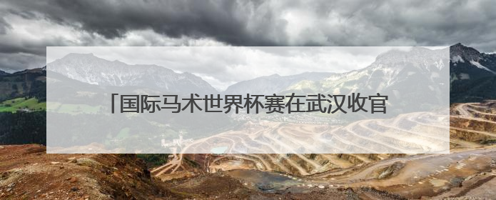 国际马术世界杯赛在武汉收官 547对人马飞跃英雄城
