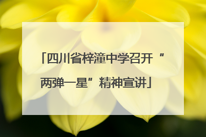 四川省梓潼中学召开“两弹一星”精神宣讲