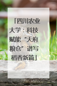 四川农业大学：科技赋能“天府粮仓”谱写稻香新篇