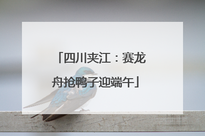 四川夹江：赛龙舟抢鸭子迎端午