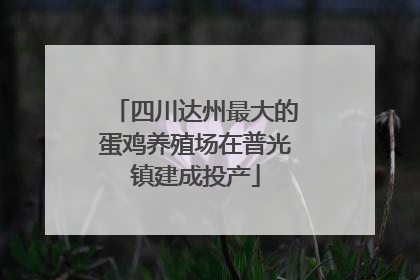 四川达州最大的蛋鸡养殖场在普光镇建成投产