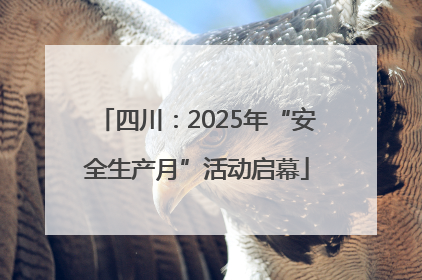 四川：2025年“安全生产月”活动启幕