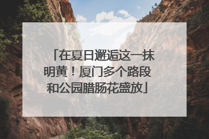 在夏日邂逅这一抹明黄！厦门多个路段和公园腊肠花盛放