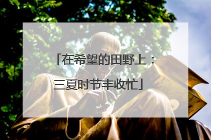 在希望的田野上：三夏时节丰收忙