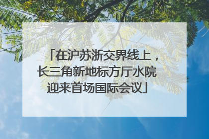 在沪苏浙交界线上，长三角新地标方厅水院迎来首场国际会议