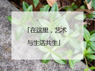 在这里，艺术与生活共生
