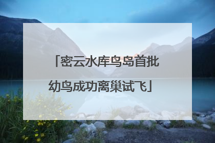 密云水库鸟岛首批幼鸟成功离巢试飞