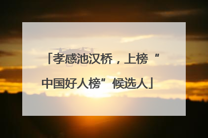 孝感池汉桥，上榜“中国好人榜”候选人