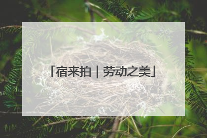 宿来拍｜劳动之美