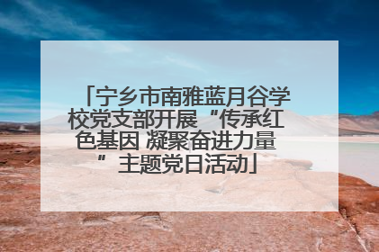 宁乡市南雅蓝月谷学校党支部开展“传承红色基因 凝聚奋进力量”主题党日活动