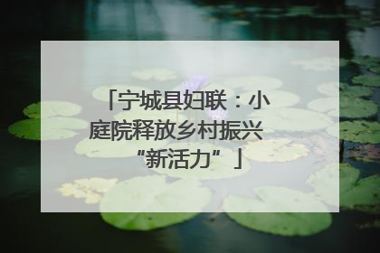 宁城县妇联：小庭院释放乡村振兴“新活力”